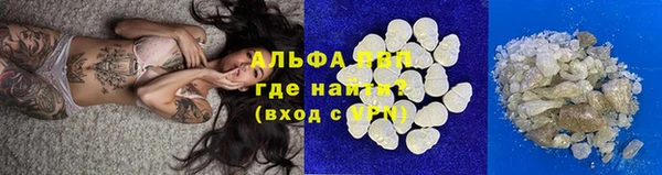 крисы Алексин