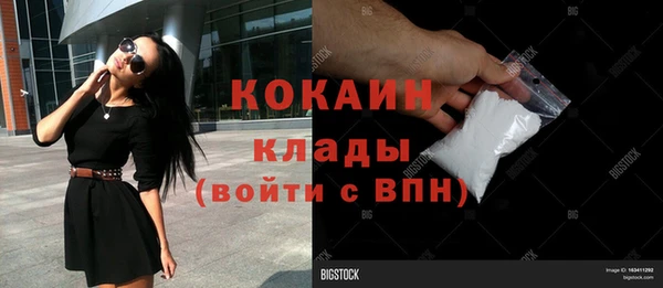 крисы Алексин