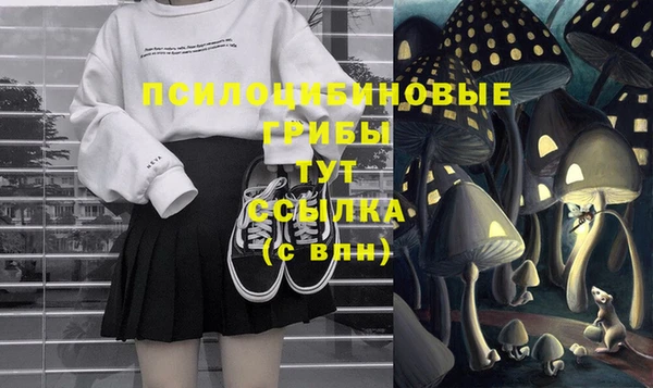соль курить ск Алзамай