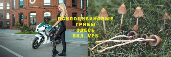 соль курить ск Алзамай