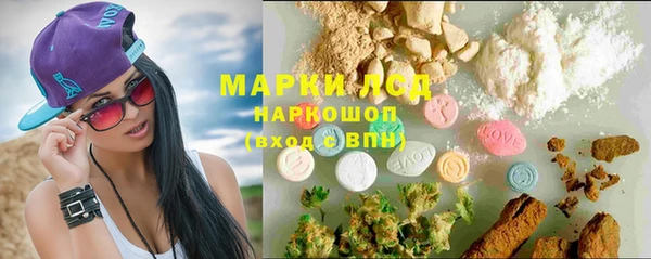 крисы Алексин