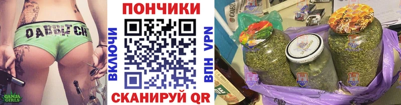 Купить закладки  Сочи  Конопля семена 